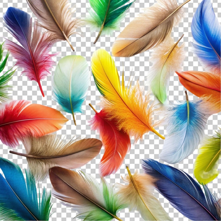 PSD beautiful feathers arrangement isolated on transparent background
