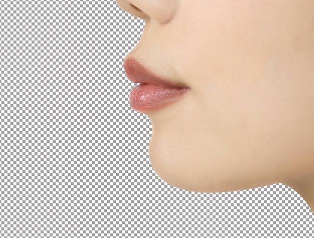 beautiful female lips