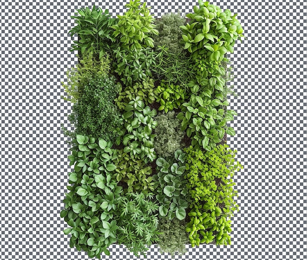 PSD beautiful garden wall art isolated on transparent background