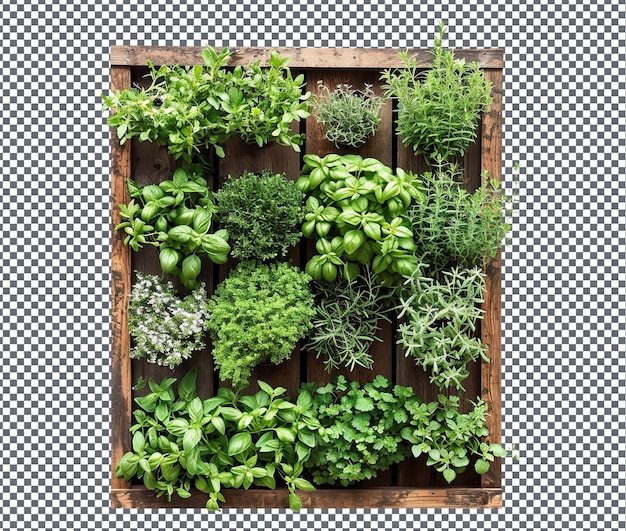 PSD beautiful garden wall art isolated on transparent background