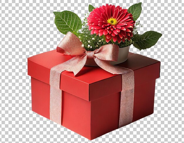 Beautiful gift box with flower in pot