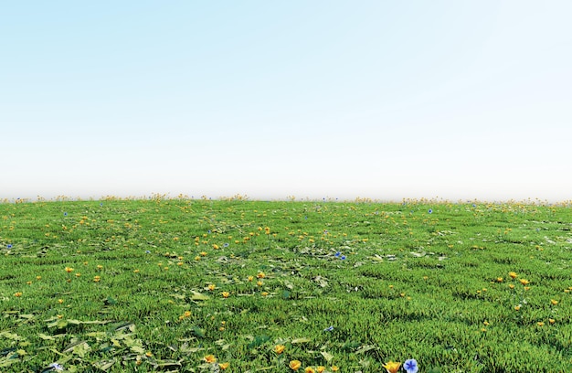 PSD beautiful green field with flower and grass