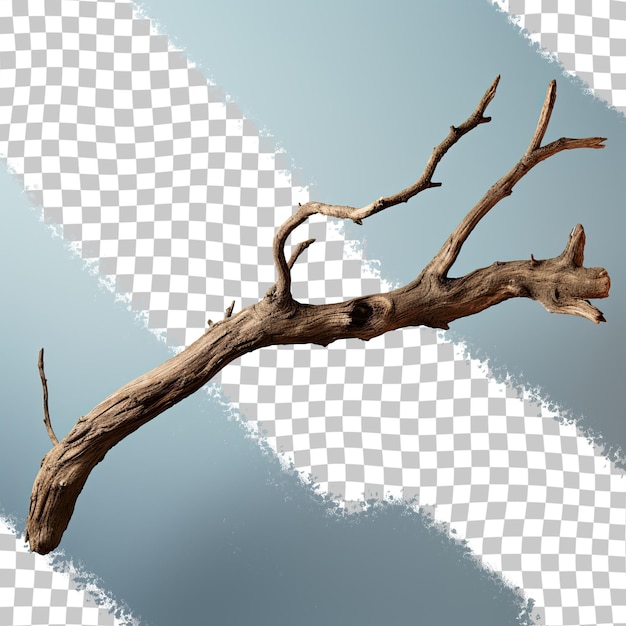 Beautiful isolated dry wooden stick from the forest on a transparent background