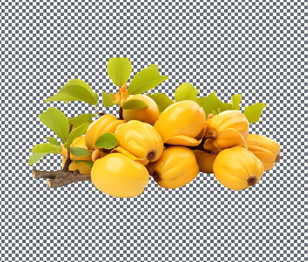 PSD beautiful jellies jackfruit isolated on transparent background