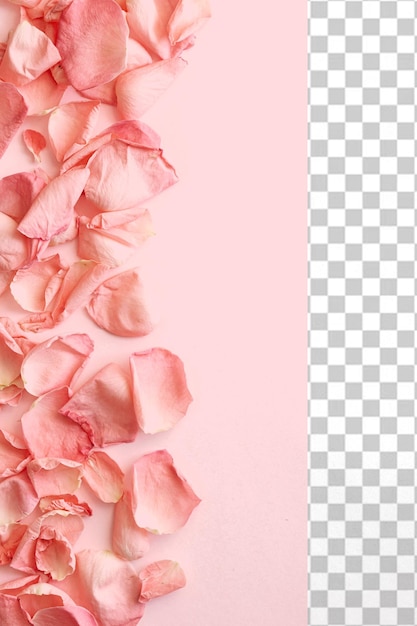 Bellissimi petali di fiori rosa png