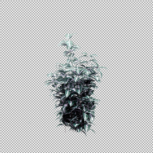 分離された 3 d レンダリングで美しい植物