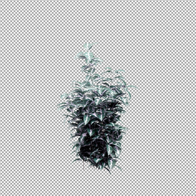 PSD beautiful plant in 3d rendering isolated