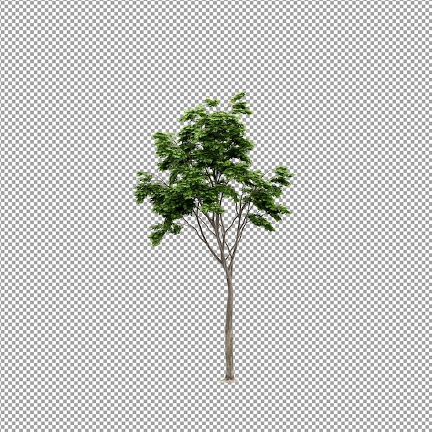 分離された 3 d レンダリングで美しい植物