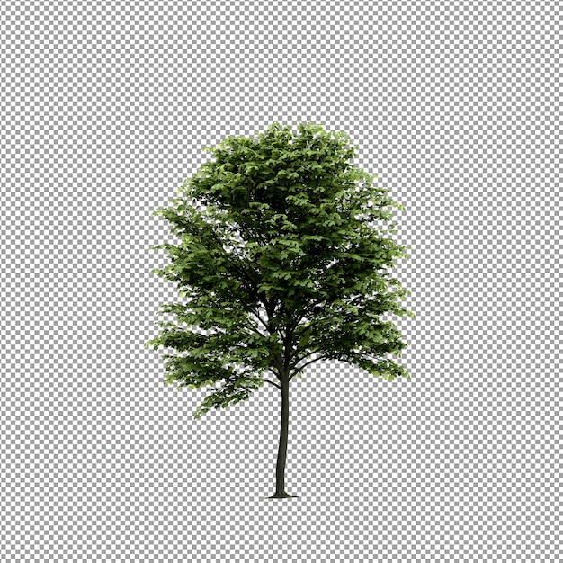 PSD beautiful plant in 3d rendering isolated