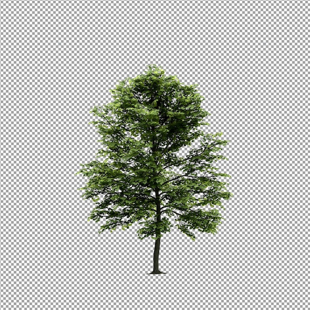 PSD beautiful plant in 3d rendering isolated