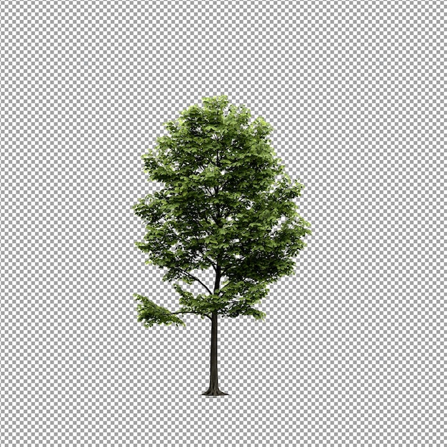 Beautiful plant in 3d rendering isolated