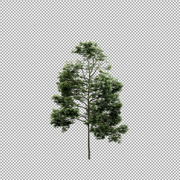 Beautiful plant in 3d rendering isolated