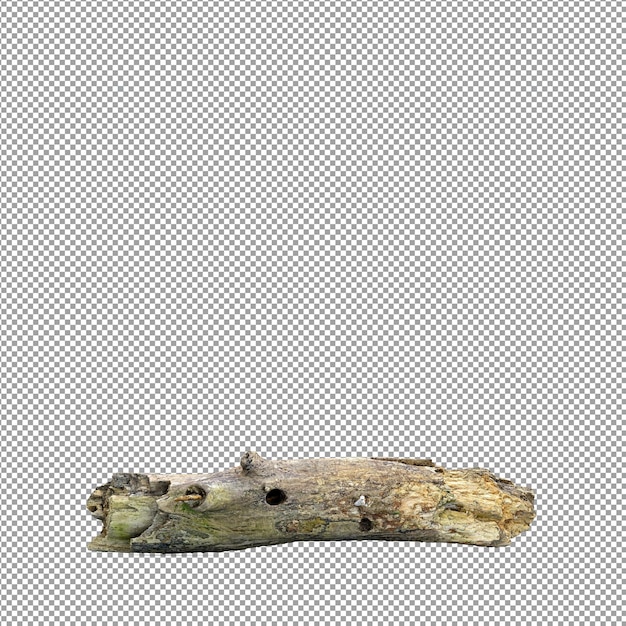 分離された 3 d レンダリングで美しい植物