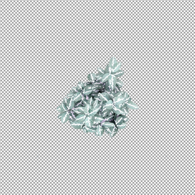 分離された 3 d レンダリングで美しい植物