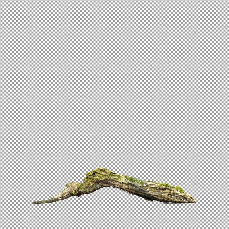PSD beautiful plant in 3d rendering isolated