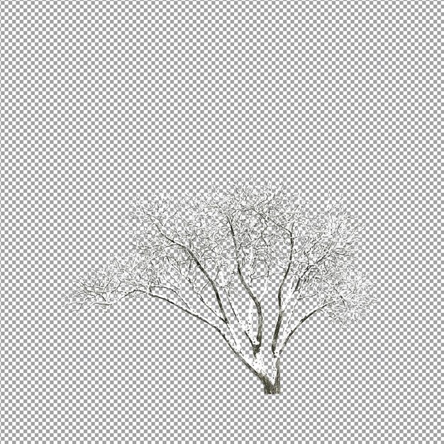 3D レンダリングで孤立した美しい植物