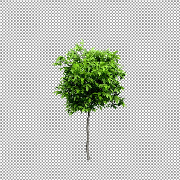 PSD beautiful plant in 3d rendering isolated