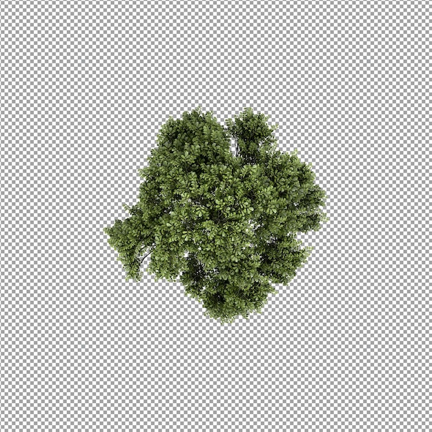 分離された 3 d レンダリングで美しい植物