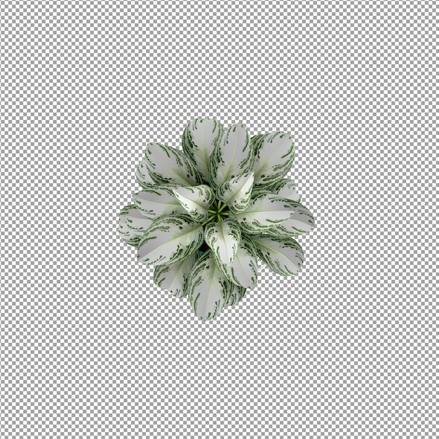 分離された 3 d レンダリングで美しい植物