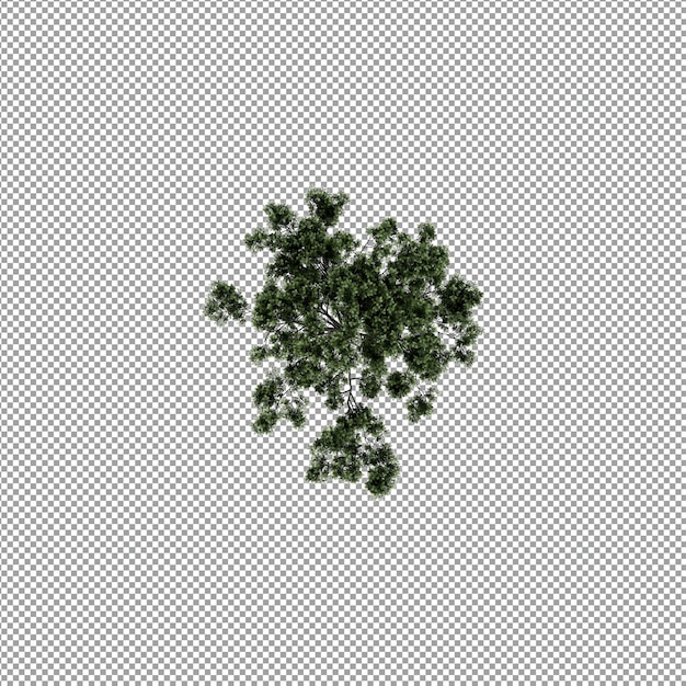 分離された3Dレンダリングの美しい植物