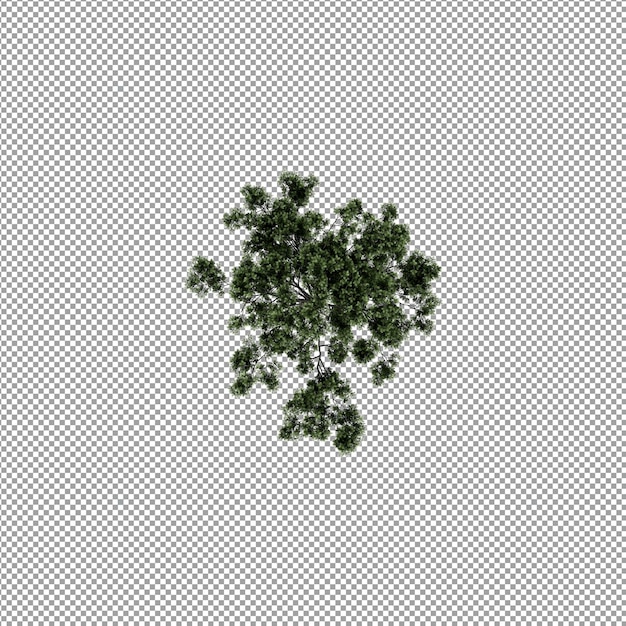 Beautiful plant in 3d rendering isolated