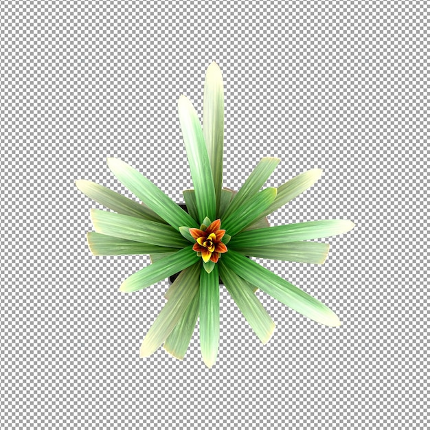 分離された 3 d レンダリングで美しい植物