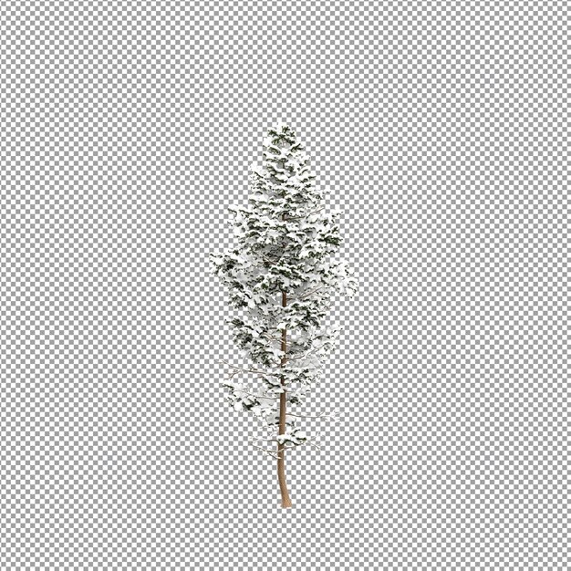 Beautiful plant in 3d rendering isolated