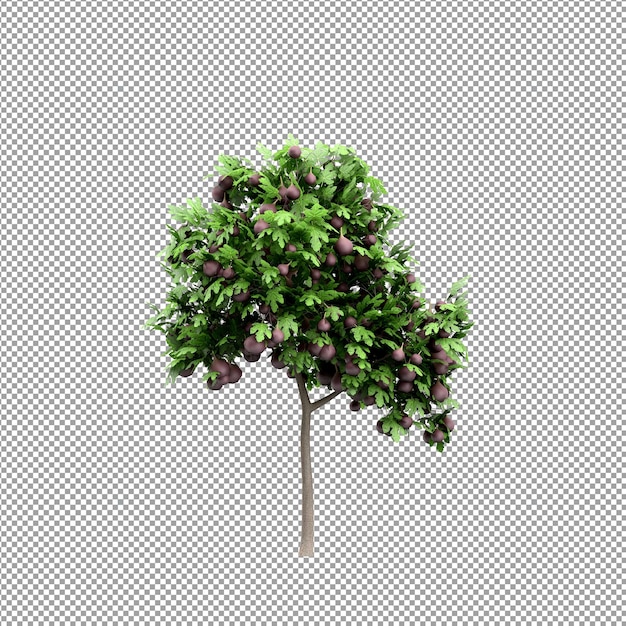 Beautiful plant in 3d rendering isolated