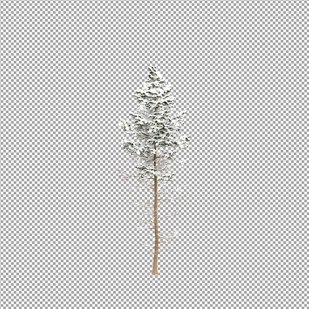 Beautiful plant in 3d rendering isolated