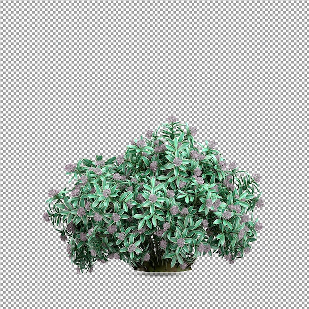 分離された 3 d レンダリングで美しい植物