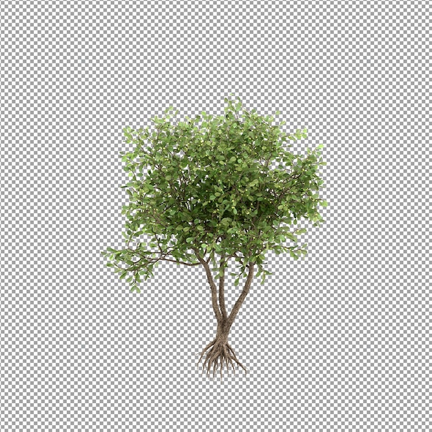 Beautiful plant in 3d rendering isolated