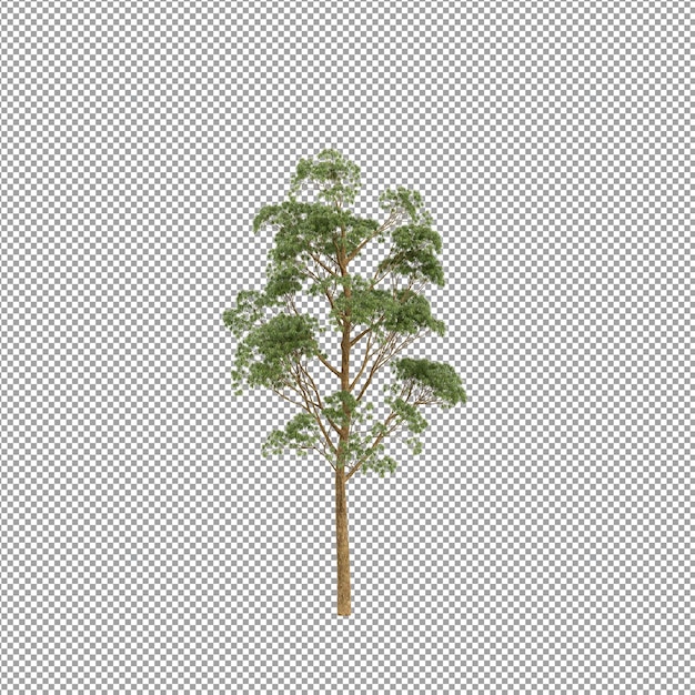 Beautiful plant in 3d rendering isolated