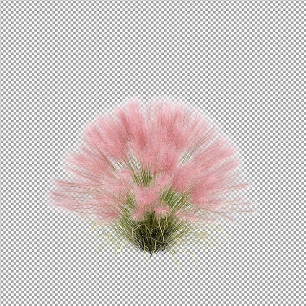 Beautiful plant in 3d rendering isolated