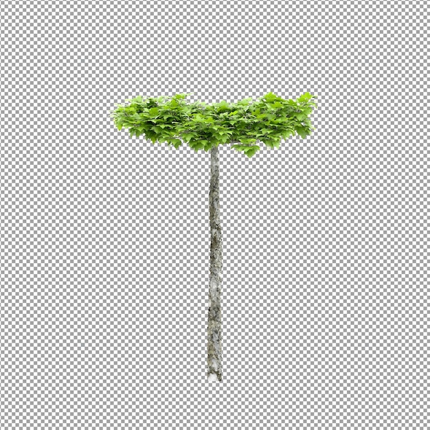 PSD beautiful plant in 3d rendering isolated