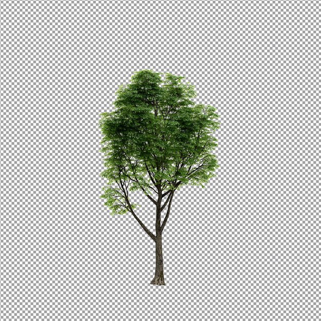 分離された 3 d レンダリングで美しい植物