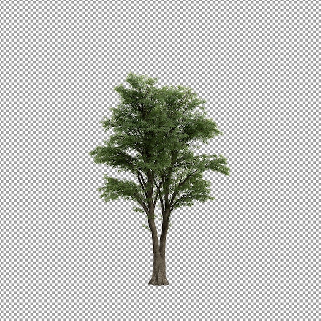 Beautiful plant in 3d rendering isolated