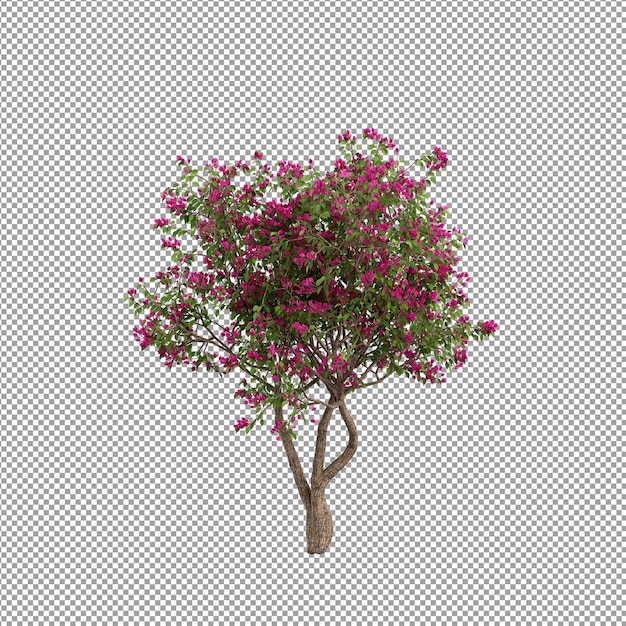 分離された 3 d レンダリングで美しい植物