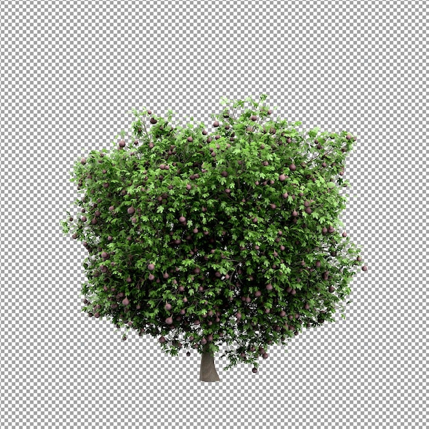 Beautiful plant in 3d rendering isolated