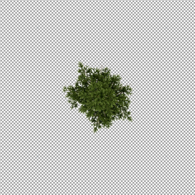 分離された3Dレンダリングの美しい植物