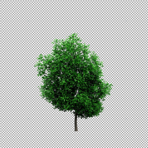 Beautiful plant in 3d rendering isolated