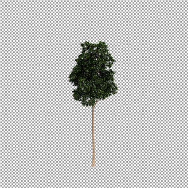 Beautiful plant in 3d rendering isolated