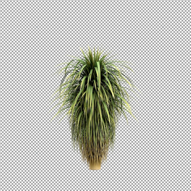 Beautiful plant in 3d rendering isolated