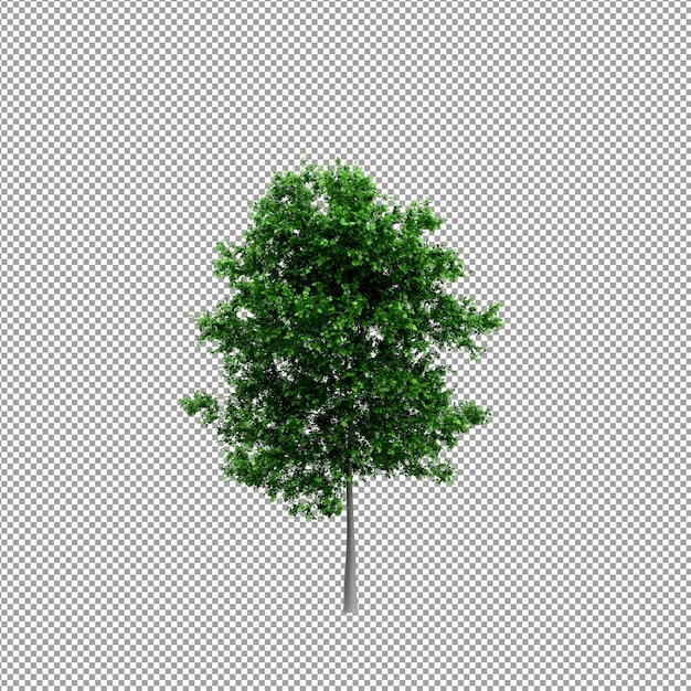 分離された 3 d レンダリングで美しい植物