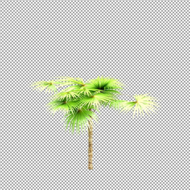 Beautiful plant in 3d rendering isolated