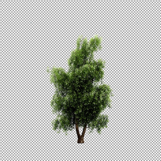 Beautiful plant in 3d rendering isolated