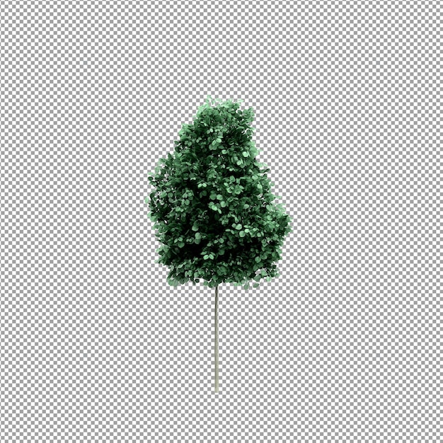 Beautiful plant in 3d rendering isolated