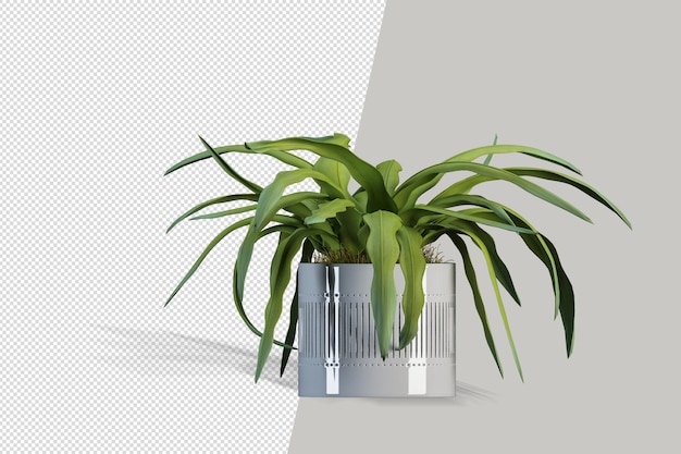 分離された美しい植物の3Dレンダリング