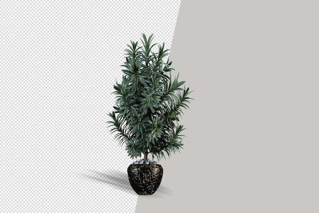 Beautiful plant 3d rendering isolated