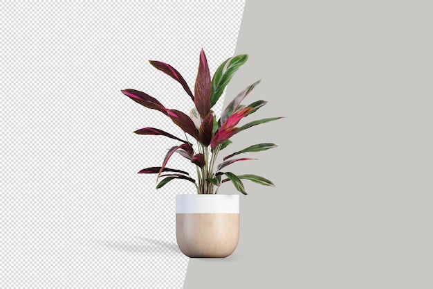 分離された美しい植物の 3 d レンダリング