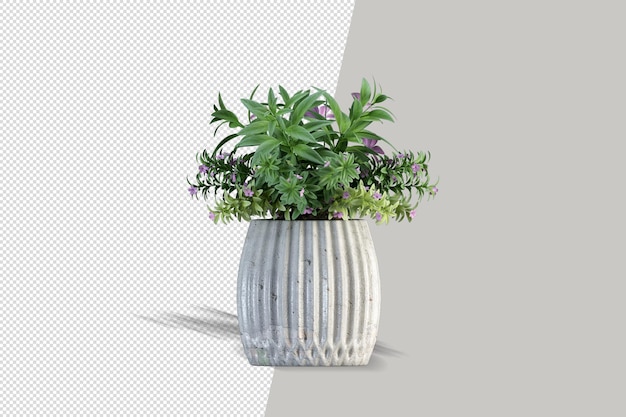 分離された美しい植物の3dレンダリング